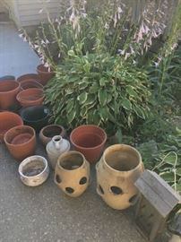 Pots, plastic and terracotta, strawberry jars large and small