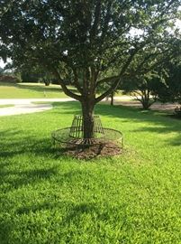 Wrought Iron tree bench