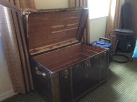 Cedar trunk