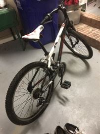 Gary Fisher 21 Speeds Bike