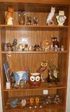 Owl collection