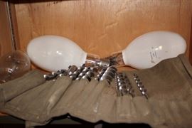 Bulbs and Tools