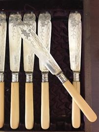 Bone handle, silver bolsters