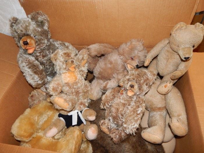 Stuffed bear collection