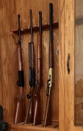 BB Guns and Pellet Guns (Daisy & Others)