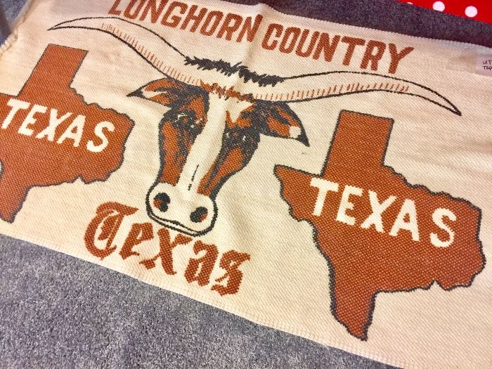 Texas Longhorn rug