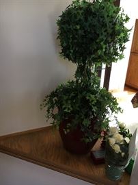 Ivy topiary 