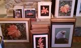 Beautiful, professional photos. All matted, most signed & numbered, some framed.