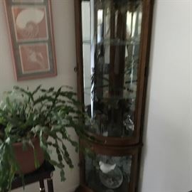 CURIO CABINET $100.00 FIRM