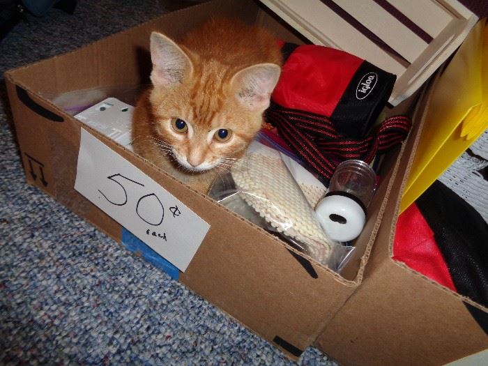... 50 cent boxes (kitten is $50,000)