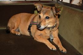 Bungie not for Sale!