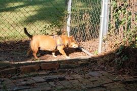 Bungie not for Sale!