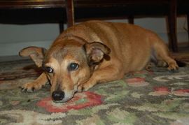 Bungie wants to know why she has to work on a holiday?