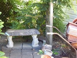 concrete bench and critters