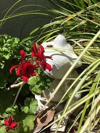 "Frog" in the Garden