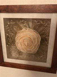 Shadow Box