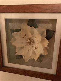 Shadowbox