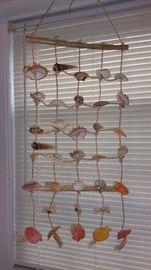 Seashell hanging