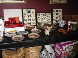 butterfly collection