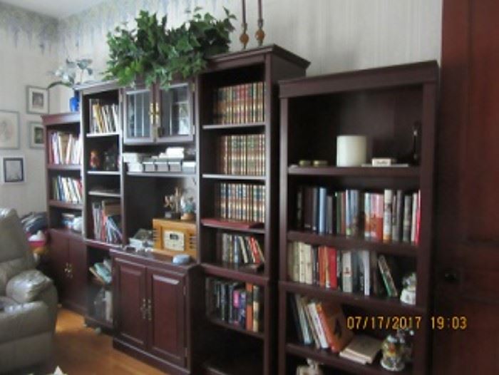 the wall of bookcases and cupboards.