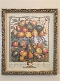 $10 - 17.5x15' Vintage fruit print from famous 1700's botanical illustrations in gold frame