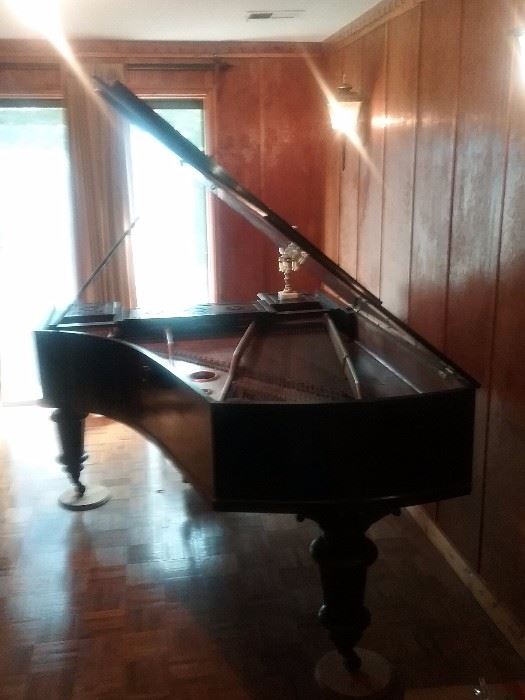 1877 Carl  Bechstein Baby Grand Piano