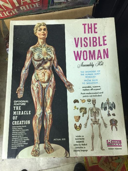 Vintage The Visible Woman model kit