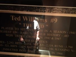 Ted Williams