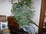ARTIFICAL TREE & MISC.