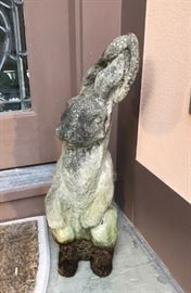 Pulled fresh from the garden !