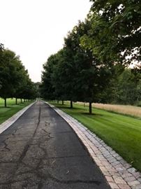 Long driveway. Pull down to get to house OR walk a half mile. Choice is yours