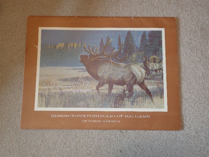 BIG GAME ILLUSTRATIONS FOM THE REMINGTON ARE COLLECTION / SET OF 12