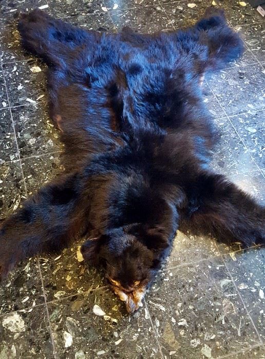 Black Bear rug 