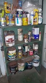 Misc Basement Paint