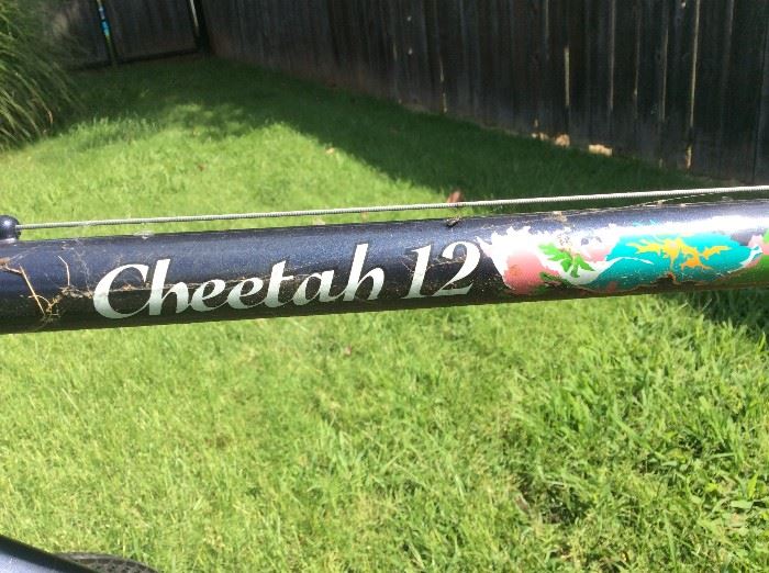 Cheetah 12 bicycle