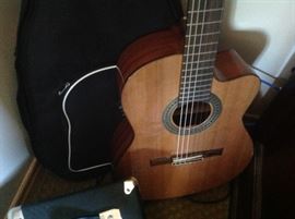 Alvarez Acoustic Electric Guitar