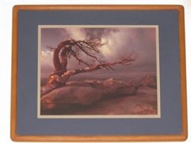 Framed and Matted Original Photo by Photographer Russ Stolling