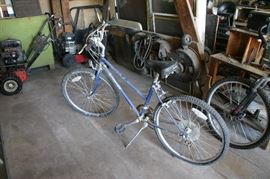 Schwinn bicycle