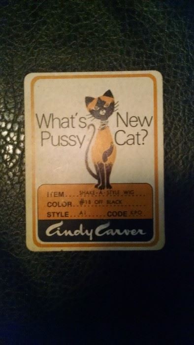 WHATS NEW PUSSY CAT..VINTAGE CASE W/ WIG