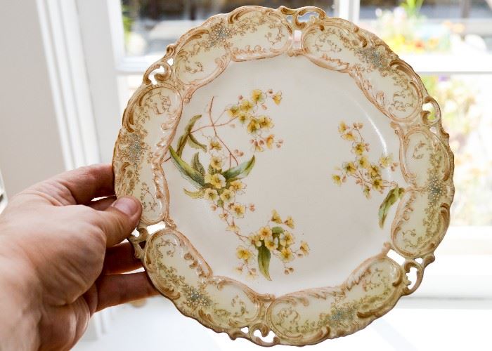 Hand Painted Porcelain Plate (Doulton Burslem, England)