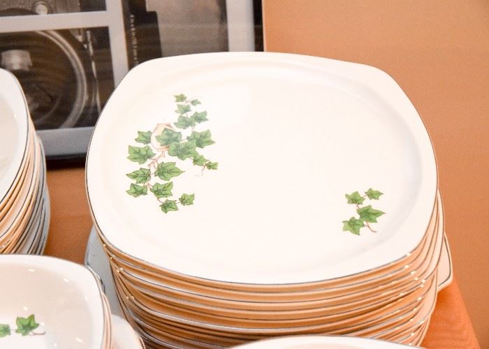 Vintage Dishes Set (Ivy Pattern)