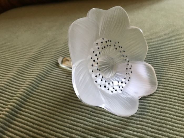 Signed Lalique Anemone 