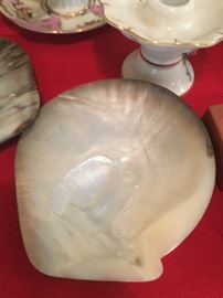 etched oyster shells