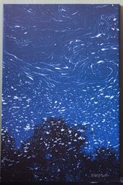 Giclee on canvas, 20x30. Gallery Wrap. "Starry Night"