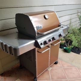 Stainless BBQ