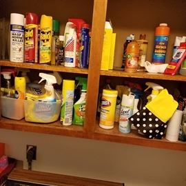 Cleaning Supplies and Misc