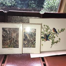 3 Sallie Middleton prints - L to R: 'Chipmunks in August', Young Eastern Cottontails', and signed & numbered bluebirds print. Come to the sale and look for the bluejay feather she puts in every print!