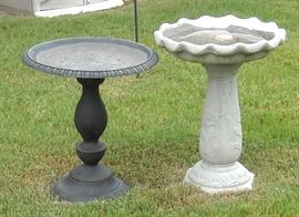 Where have the birds gone?