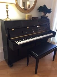 Ebony Acrylic Pearl River Studio Upright Piano