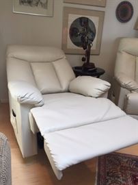 NEW Pro Lounger (Reclines and Lifts)